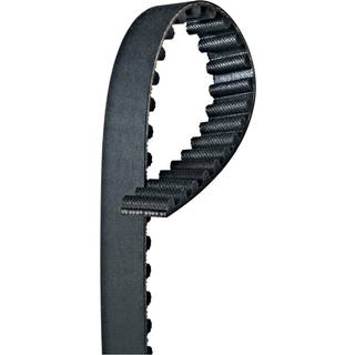 Porte T081 Premium Automotive Timing Belt