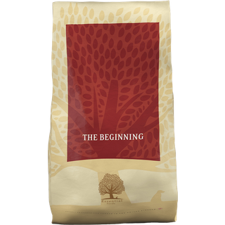 Essential The Beginning - 10 kg - til hvalpe (små racer)