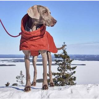 Hurtta Extreme Warmer III ECO Hundejakke Kanel - Størrelse 30