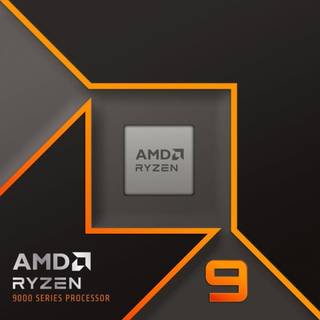 AMD Ryzen 9 9900X processor