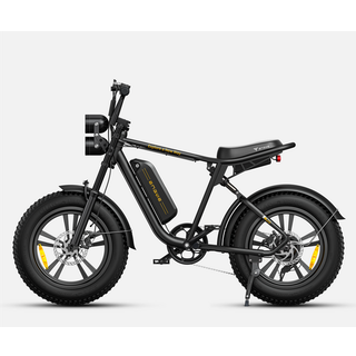 ENGWE M20