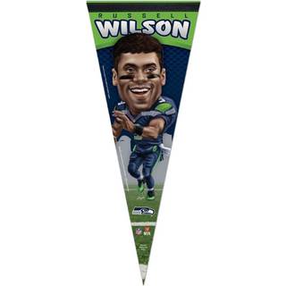 Wincraft NFL 15419115 Seattle Seahawks Premium Pennant 12 """" X 30 """"