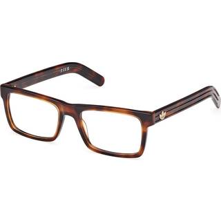 Adidas Mand OR5107 52 Optiske stel Acetat Havana Firkantet Normal