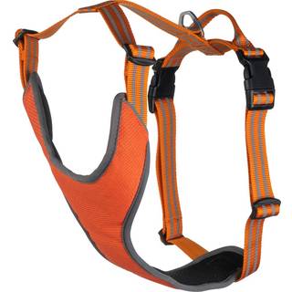 Hundesele Sparta traxx® Orange