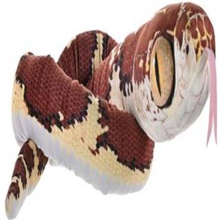 Plys Snakes 137 cm Blunt Headed Imantodes Cenchoa