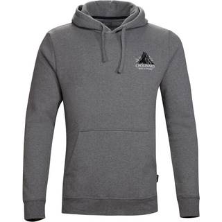 Patagonia Chouinard Crest Uprisal Hoody Hoodie størrelse XS farve grå