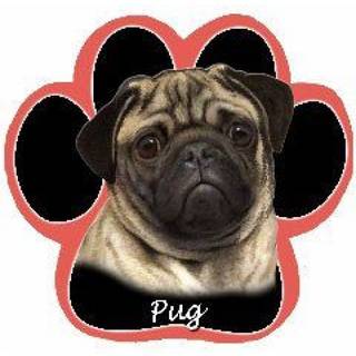 Pug Dog Paw Nold-Slips Mousepad