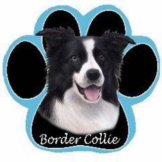 Border Collie Dog Paw Nold-Slips Mousepad