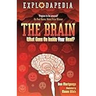 Explodapedia: The Brain