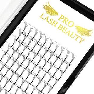 Premade Volume Eyelash Extensions 6D-C-0.07-16 Lang STEM PREMADE Fans ?jenvippeforl?ngelser .07 .10 Premade Volume fans volumen Lash Extensions C