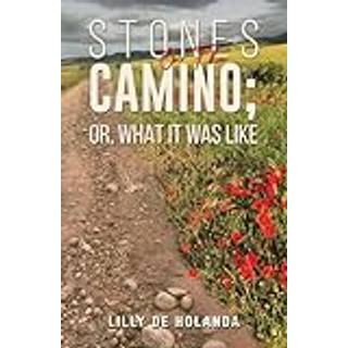 Stones on the Camino; or, What It Was Like
