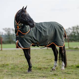 Regndækken Amigo 1200D Turnout 30g Horseware® Mørkegrøn