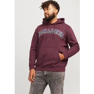 Plus Size Logo Hættetrøje