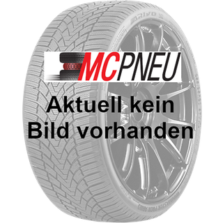 Pirelli P Zero Winter 2 ( 275/35 R20 102W XL )