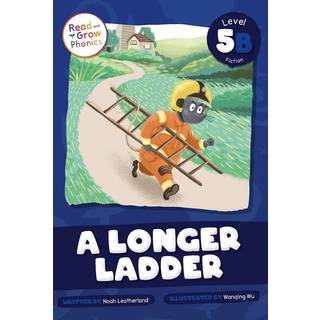 A Longer Ladder