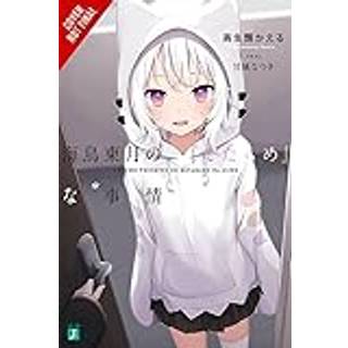 The BS Situation of Tougetsu Umidori, Vol. 1 (light novel)