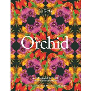 The Orchid