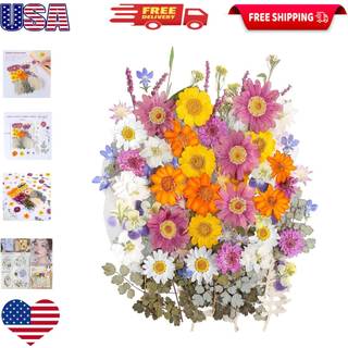 100 stk. Real t?rrede pressede blomster forlader naturlig plante herbarium til DIY harpiksform smykker, der fremstiller h?ndv?rk (20 stilarter) -