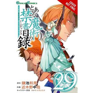 A Certain Magical Index, Vol. 29 (manga)