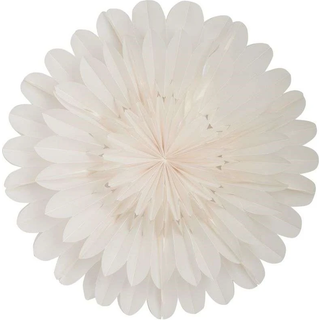 Lotus julestjerne 60 cm, white