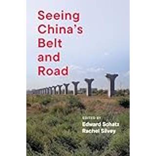 Seeing China's Belt and Road