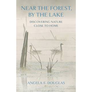 Near the Forest, by the Lake