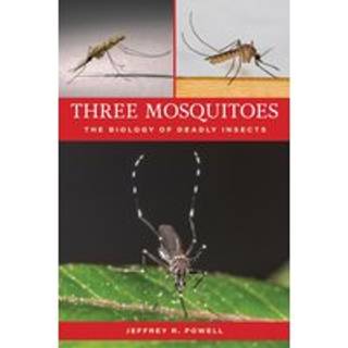 Three Mosquitoes