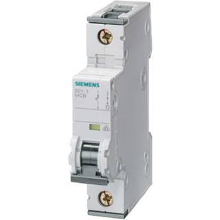 Siemens Automatsikring 6ka 1p c 50a