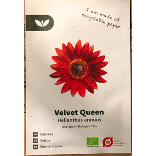 Økologiske Solsikkefrø 'Velvet Queen' - 10 Økologiske Frø - Blomsterfrø