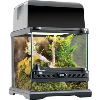 ExoTerra terrarium nano 20 x 20 x 20 cm.