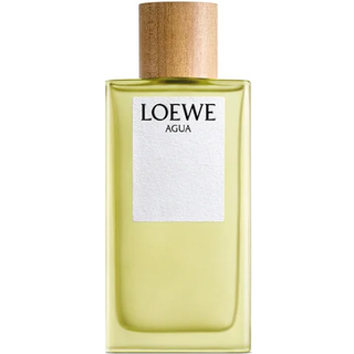 Loewe Agua De Loewe Eau de toilette 100 ml