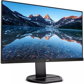 25" Philips B Line 252B9