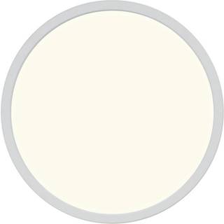 Oja 29 Ip20 3000/4000K | Ceiling Light | White