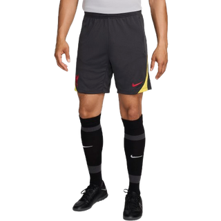 Maskinstrikkede Liverpool FC Strike Third Nike Dri-FIT-fodboldshorts til mænd - grå