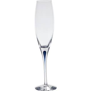 Orrefors Intermezzo Blå Champagneglas 26 Cl - Champagneglas Mundblæst Glas Klar - 6257414