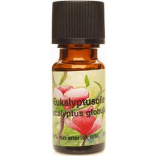Eukalyptusolie æterisk Unique - 100 ml.
