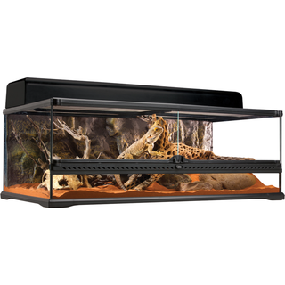 ExoTerra terrarium 90 x 45 x 30 cm.