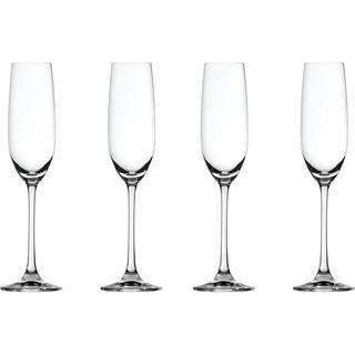 Salute Champagneglas 21 cl 4-pak
