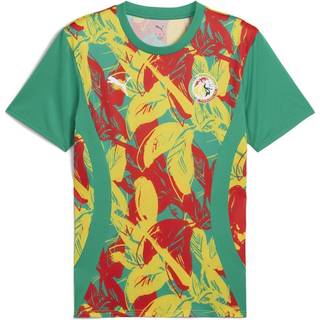 Men&#39;s Puma Senegal 2025 Pre-match Jersey, Green, Size 3XL, Sport - Red - 3XL