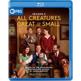 Masterpiece: All Creatures Great & Small - Ssn 5