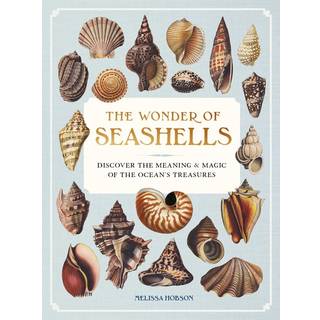 The Wonder of Seashells