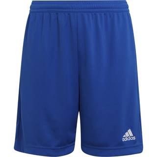 adidas Entrada 22 Shorts7 - 8 år (122 - 128cm)
