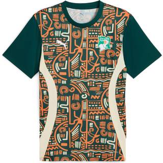 Men&#39;s Puma Ivory Coast 2025 Pre-match Jersey, Green, Size XL, Sport - Rickie Orange - XL