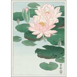 Water lilies, japansk - 30x40 cm