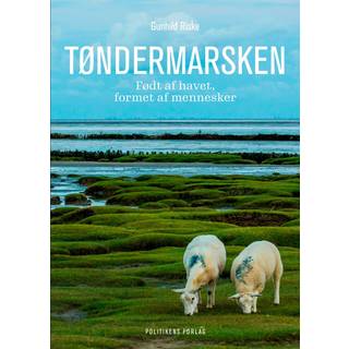 Tøndermarsken