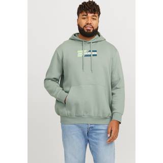 Plus Size Logo Hættetrøje