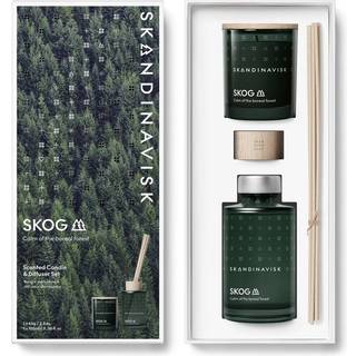 Skandinavisk SKOG duftlys & duftpinde 65 g + 100 ml