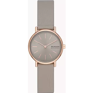 Skagen Signatur SKW3060 Dameur