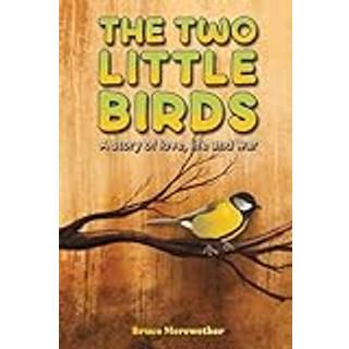 The Two Little Birds