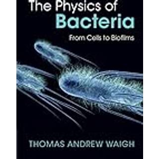 The Physics of Bacteria